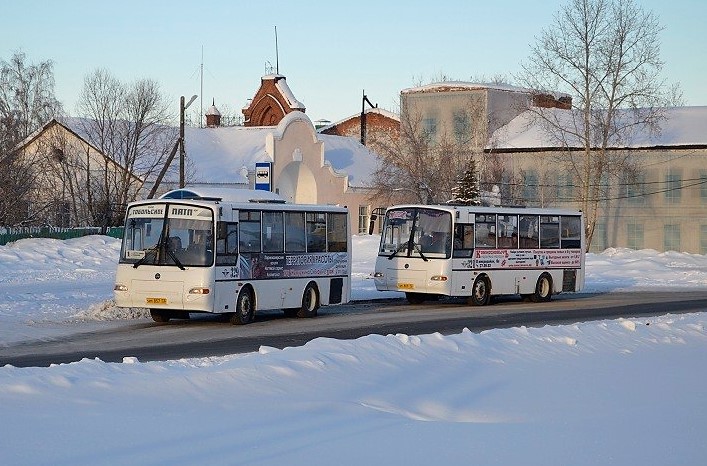 автобусы